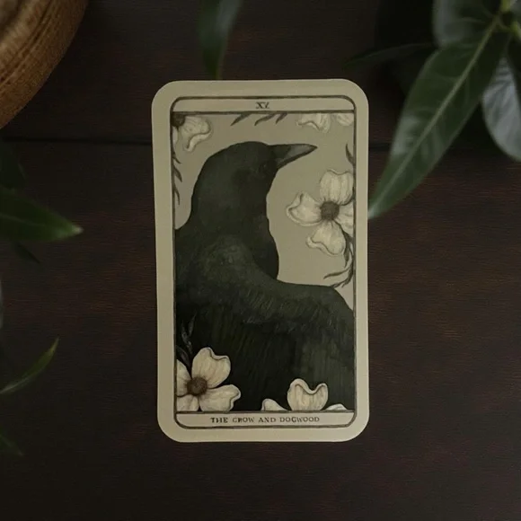 Vera Wang Sequined Rib Cage Heart Birds Accessories 10 Pc Bundle Eno Goth Occult - Picture 12 of 15